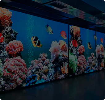 LED Экраны